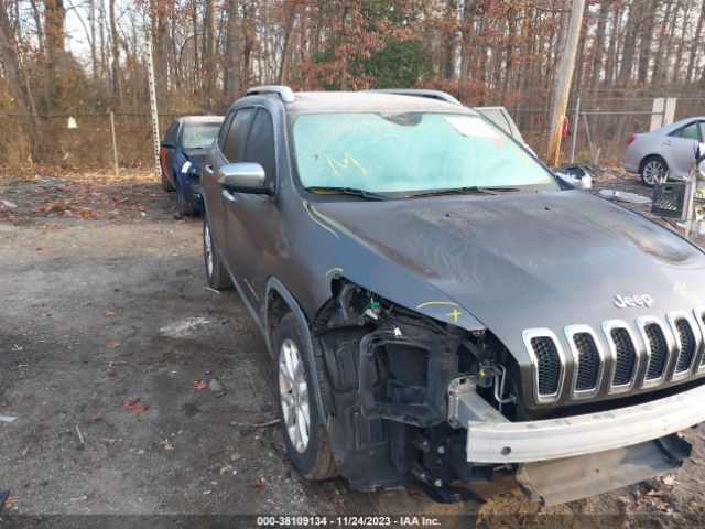 JEEP CHEROKEE 2014 1c4pjlcb0ew139298