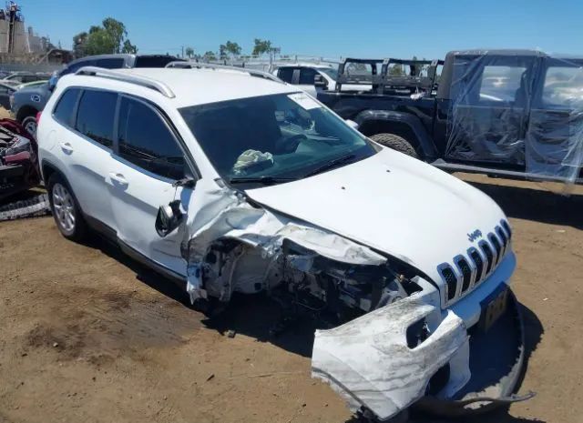 JEEP CHEROKEE 2014 1c4pjlcb0ew149233