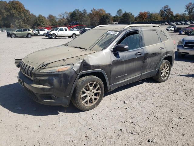 JEEP CHEROKEE L 2014 1c4pjlcb0ew192017