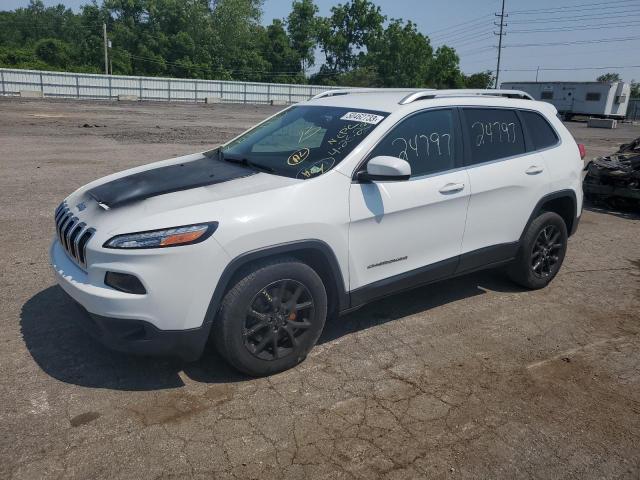 JEEP CHEROKEE L 2014 1c4pjlcb0ew225498