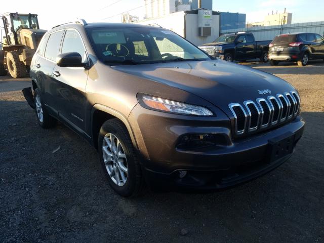 JEEP CHEROKEE L 2014 1c4pjlcb0ew320725