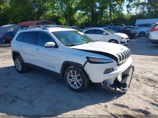 JEEP CHEROKEE 2017 1c4pjlcb0hw559941