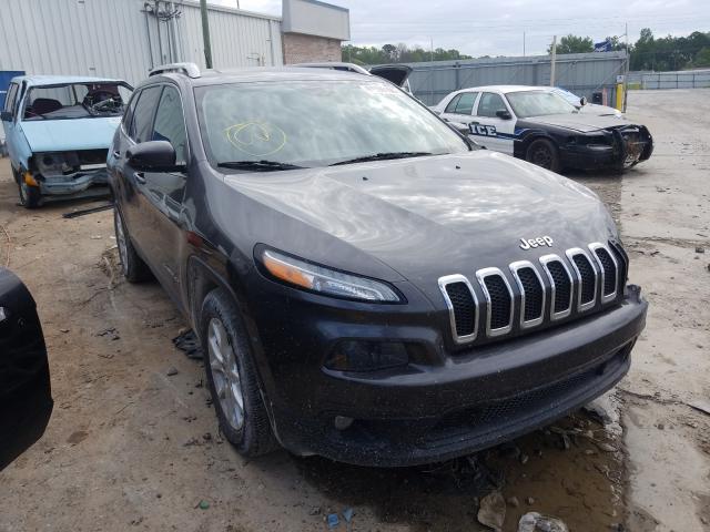 JEEP CHEROKEE L 2014 1c4pjlcb1ew171998