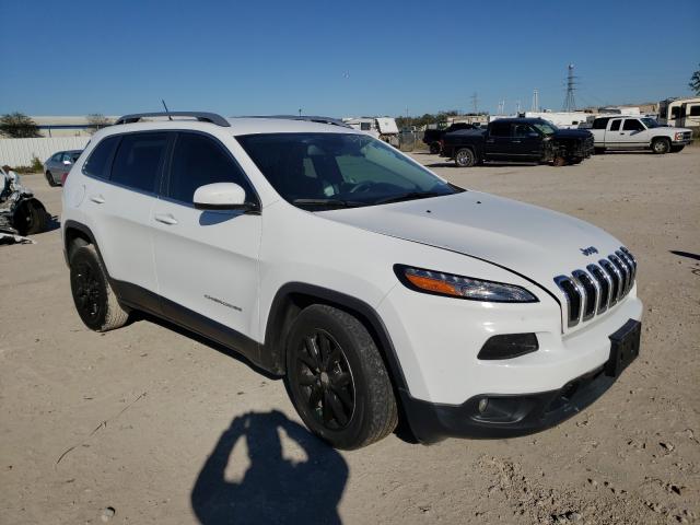 JEEP CHEROKEE 2017 1c4pjlcb1jd536850