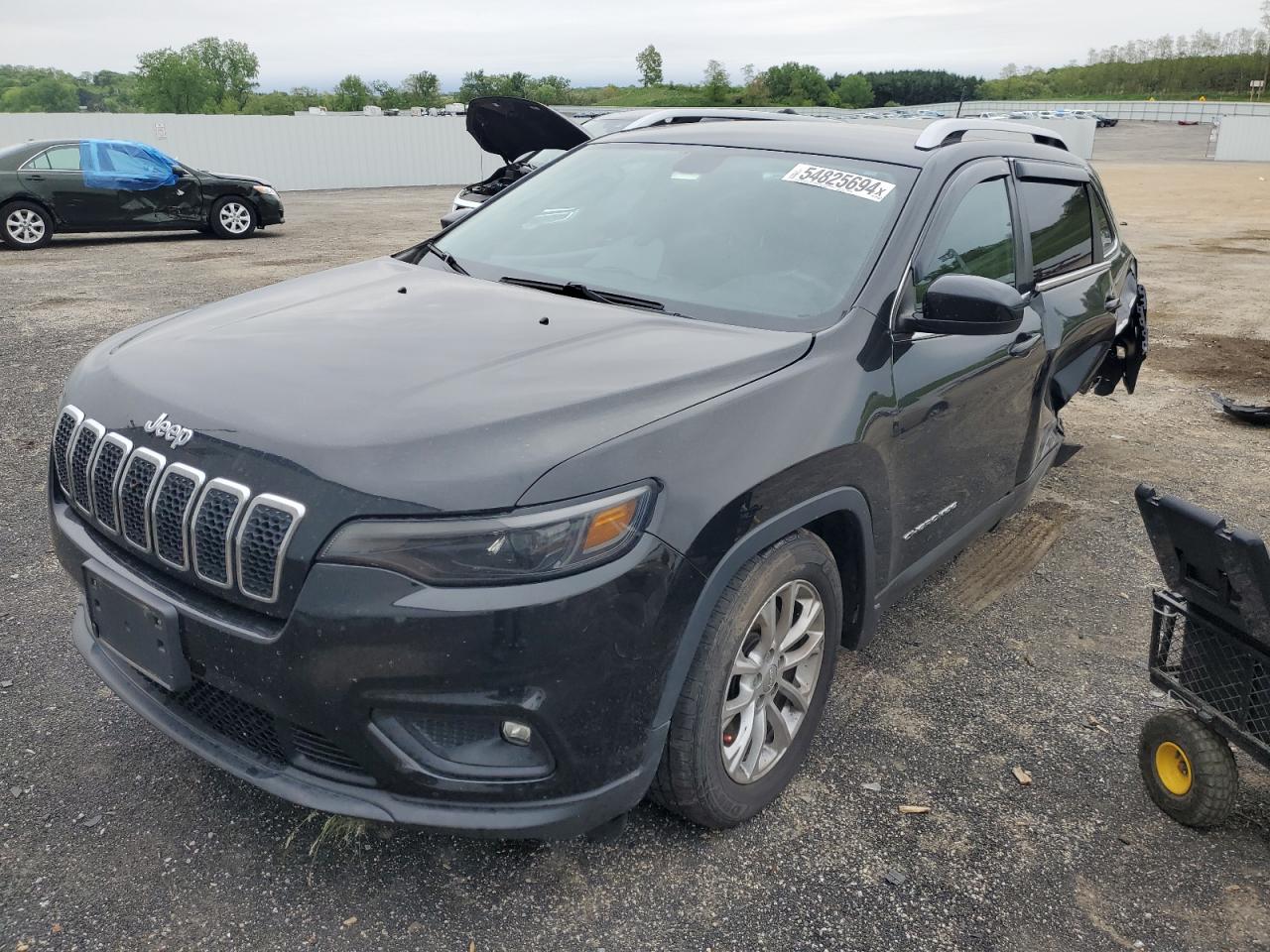 JEEP GRAND CHEROKEE 2019 1c4pjlcb1kd454148