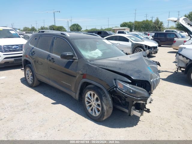 JEEP CHEROKEE 2019 1c4pjlcb1kd487733