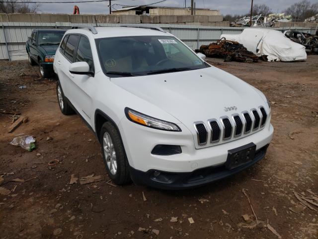 JEEP NULL 2014 1c4pjlcb2ew101748