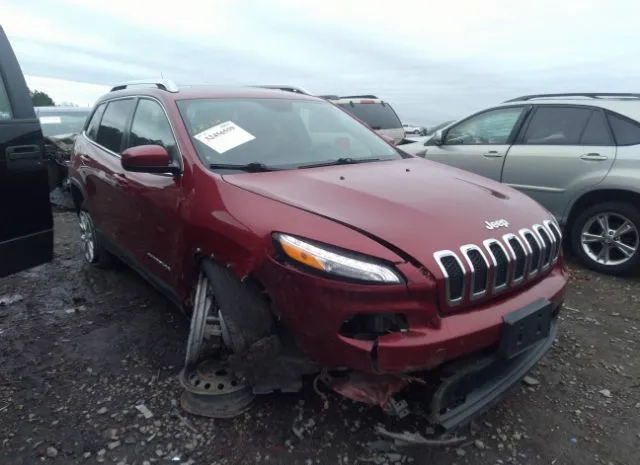 JEEP CHEROKEE 2014 1c4pjlcb2ew155406