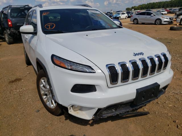 JEEP CHEROKEE 2014 1c4pjlcb2ew241637