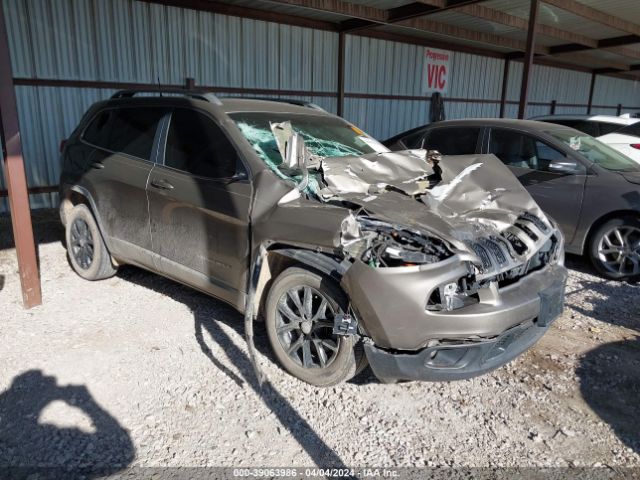 JEEP CHEROKEE 2017 1c4pjlcb2hw535480