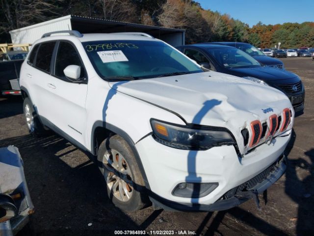 JEEP CHEROKEE 2019 1c4pjlcb2kd144638