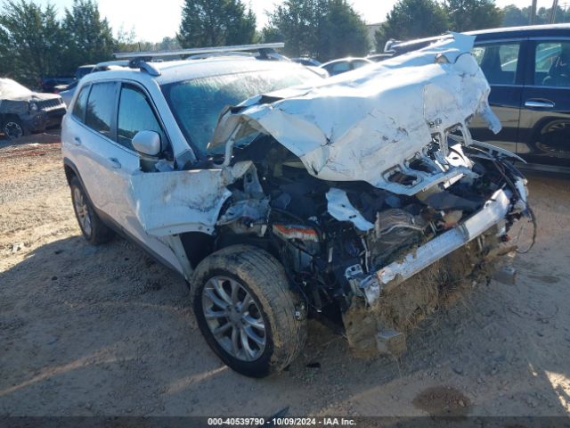 JEEP CHEROKEE 2019 1c4pjlcb2kd272426