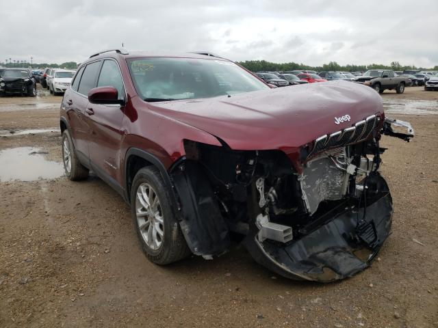 JEEP CHEROKEE L 2019 1c4pjlcb2kd439545