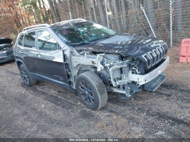 JEEP CHEROKEE 2016 1c4pjlcb3gw338722