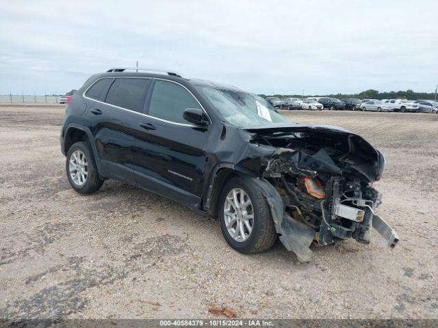 JEEP CHEROKEE 2017 1c4pjlcb3hd231585