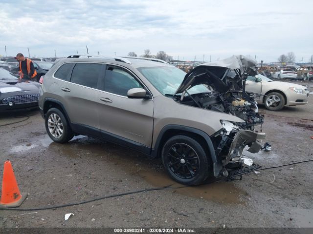 JEEP CHEROKEE 2019 1c4pjlcb3kd339941