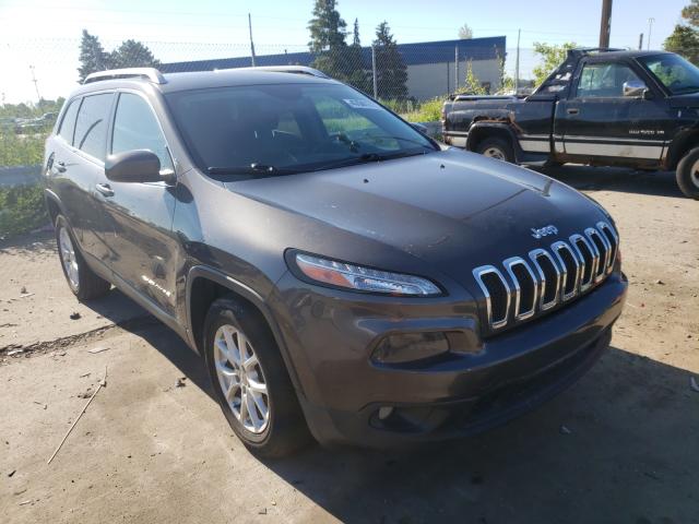 JEEP CHEROKEE 2013 1c4pjlcb4ew139479