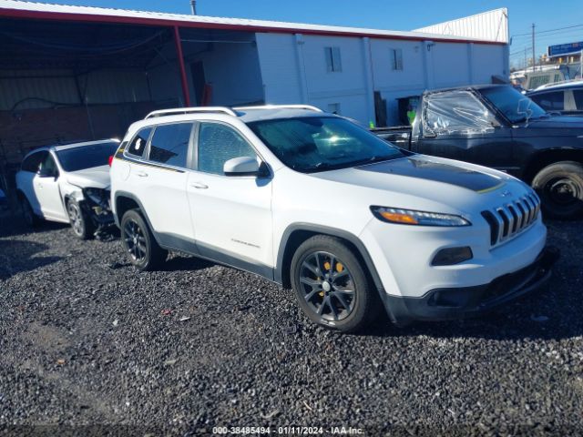 JEEP CHEROKEE 2014 1c4pjlcb4ew205867