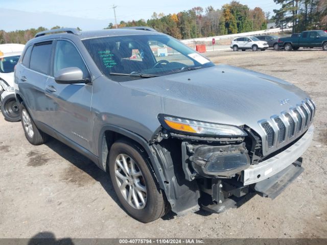 JEEP CHEROKEE 2016 1c4pjlcb4gw114391