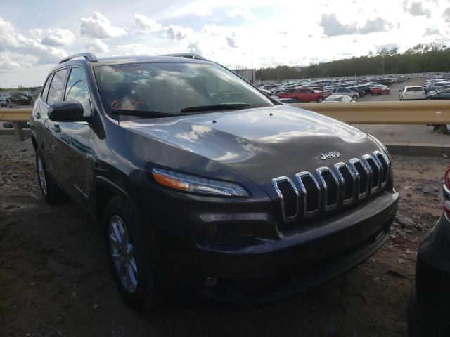 JEEP CHEROKEE L 2016 1c4pjlcb4gw355920