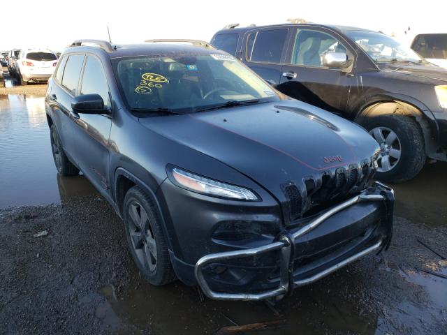 JEEP CHEROKEE 2016 1c4pjlcb4gw362317