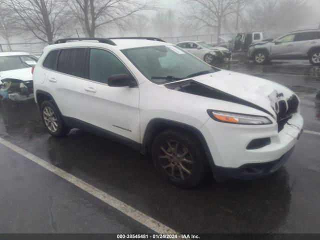 JEEP CHEROKEE 2017 1c4pjlcb4hw578654