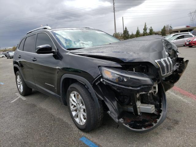 JEEP CHEROKEE L 2019 1c4pjlcb4kd331699