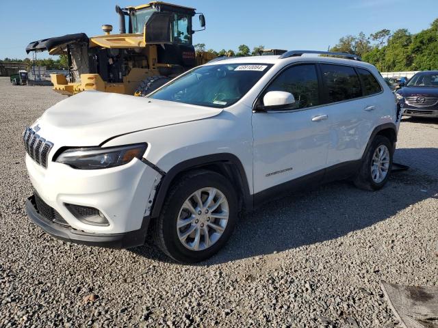 JEEP GRAND CHEROKEE 2019 1c4pjlcb4kd406286