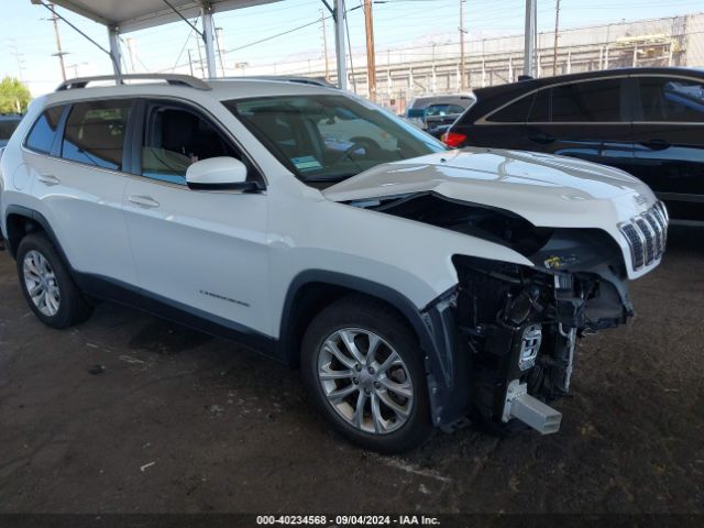 JEEP CHEROKEE 2019 1c4pjlcb4kd439563