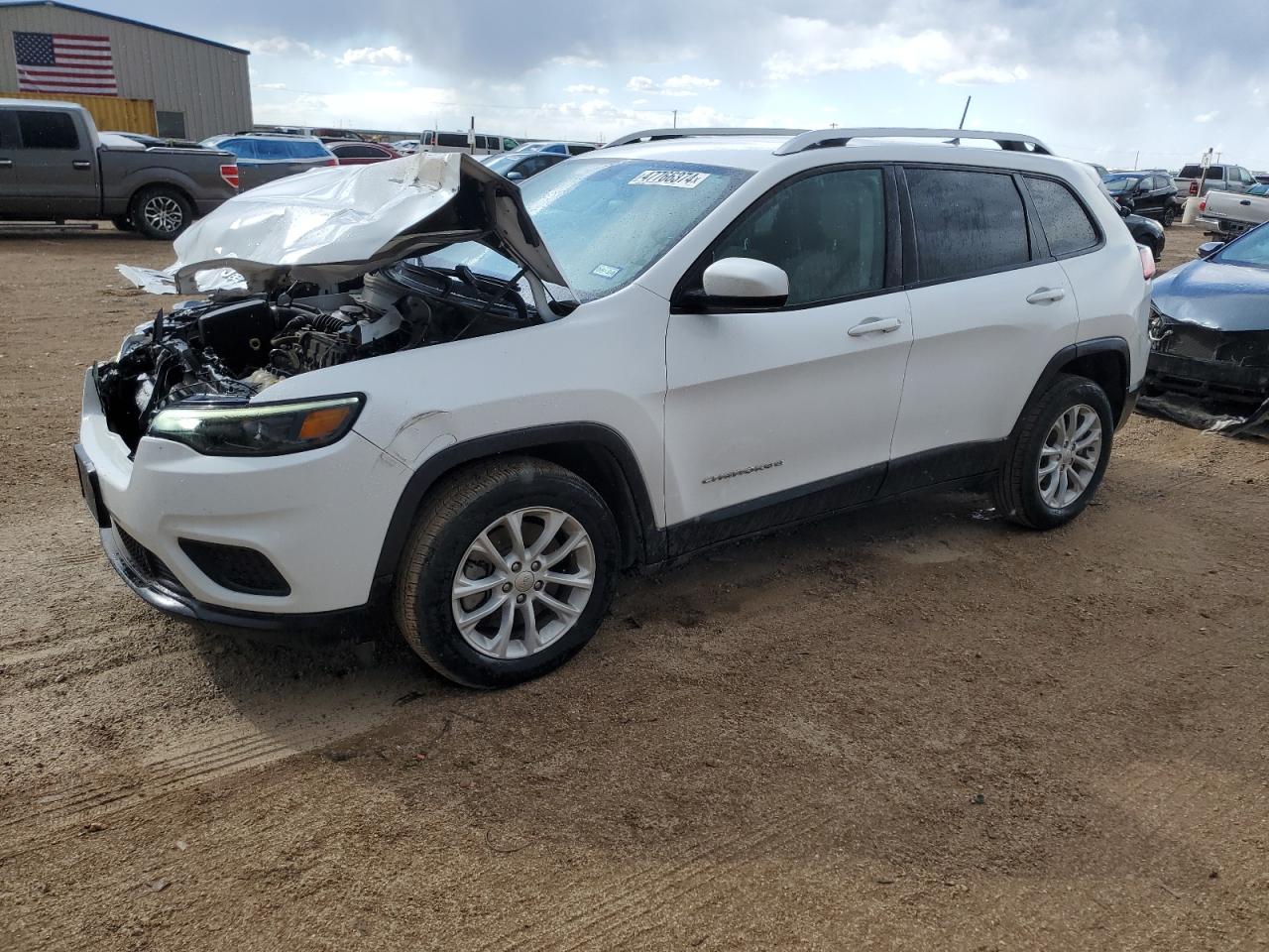 JEEP GRAND CHEROKEE 2020 1c4pjlcb4ld556481