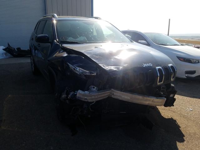 JEEP CHEROKEE L 2014 1c4pjlcb5ew155559