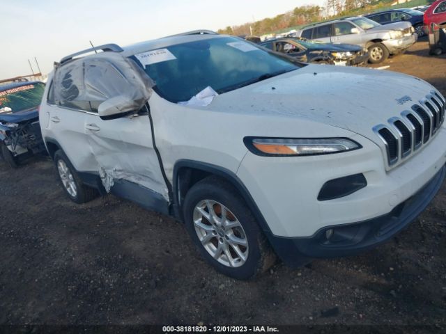 JEEP CHEROKEE 2014 1c4pjlcb5ew158655