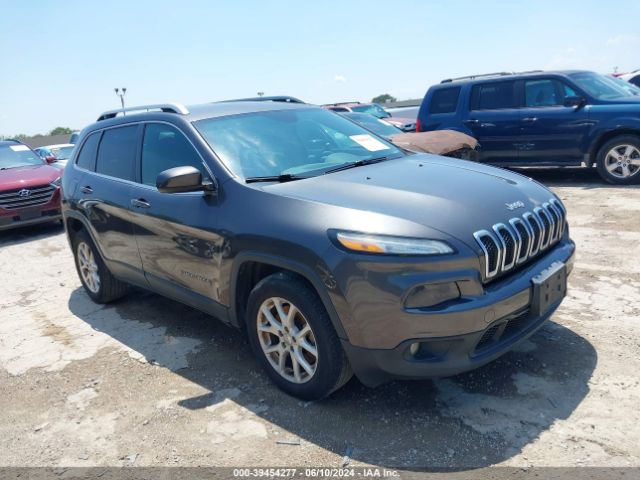 JEEP CHEROKEE 2014 1c4pjlcb5ew194233