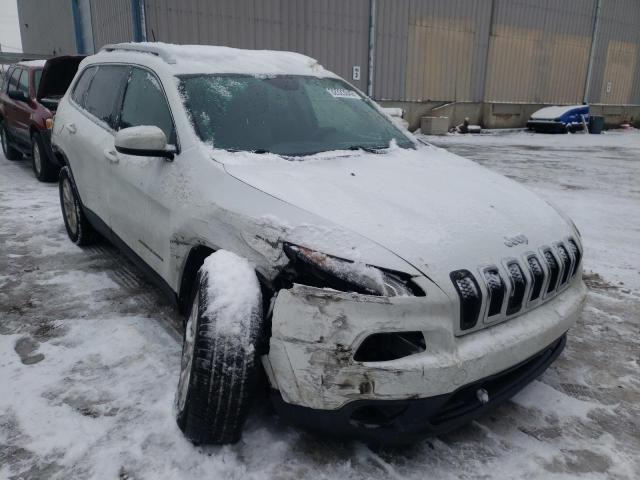 JEEP CHEROKEE L 2014 1c4pjlcb5ew249473