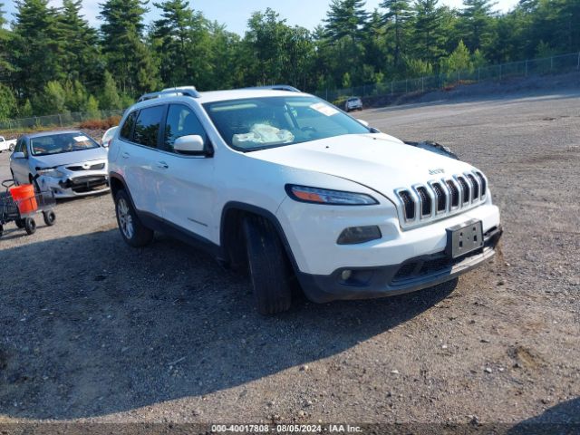 JEEP CHEROKEE 2015 1c4pjlcb5fw663130