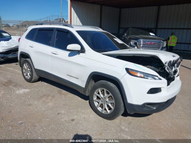 JEEP CHEROKEE 2017 1c4pjlcb5hd231121