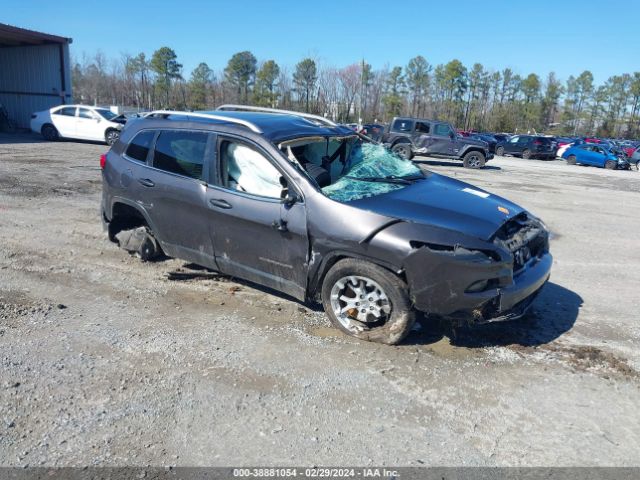 JEEP CHEROKEE 2017 1c4pjlcb5hd233256