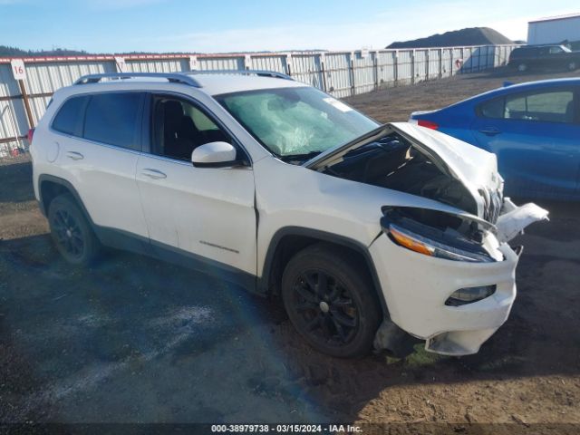 JEEP CHEROKEE 2017 1c4pjlcb5hw653488