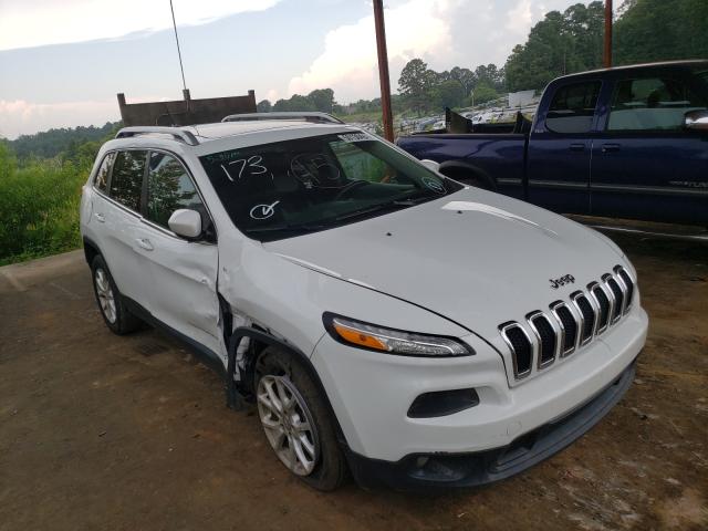 JEEP NULL 2014 1c4pjlcb6ew231161