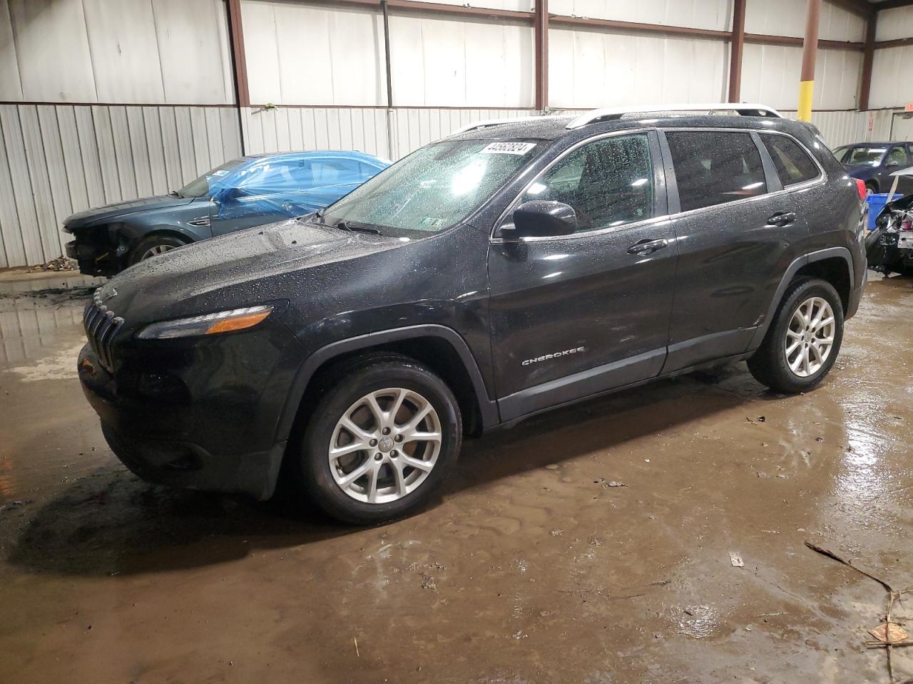 JEEP GRAND CHEROKEE 2014 1c4pjlcb6ew293000