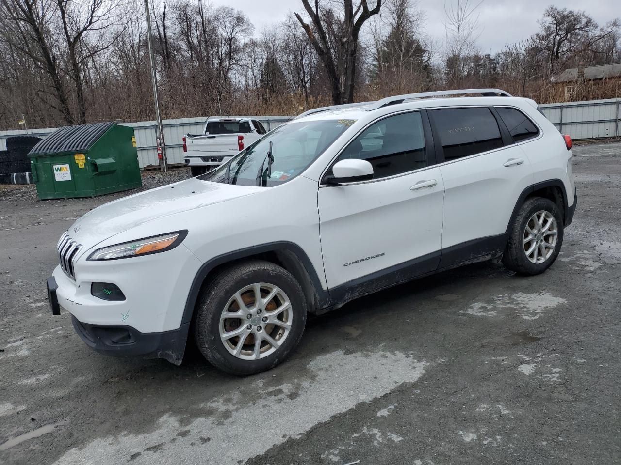 JEEP GRAND CHEROKEE 2016 1c4pjlcb6gw338732