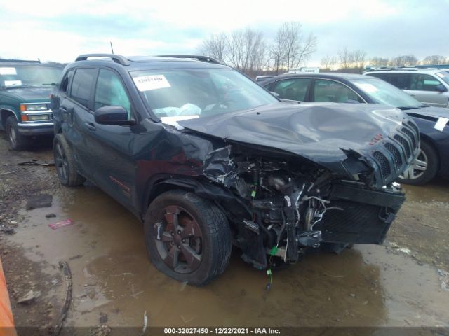 JEEP CHEROKEE 2016 1c4pjlcb6gw362335