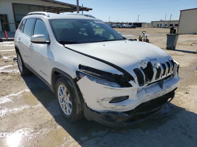 JEEP NULL 2017 1c4pjlcb6hw502921