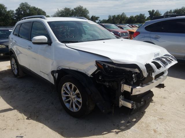 JEEP CHEROKEE L 2019 1c4pjlcb6kd308182