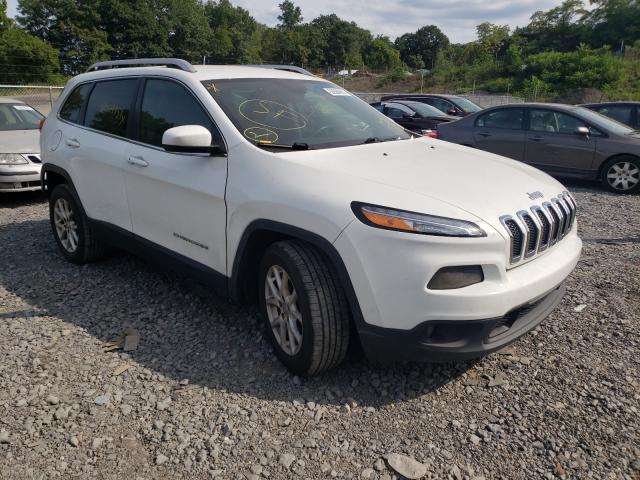 JEEP CHEROKEE L 2014 1c4pjlcb7ew149360