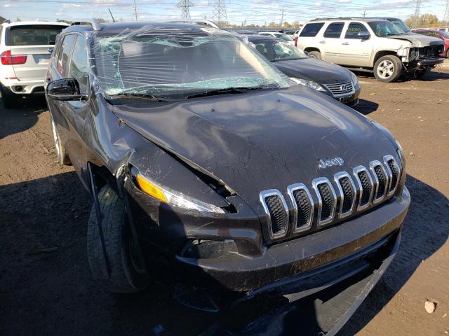 JEEP CHEROKEE L 2015 1c4pjlcb7fw589659