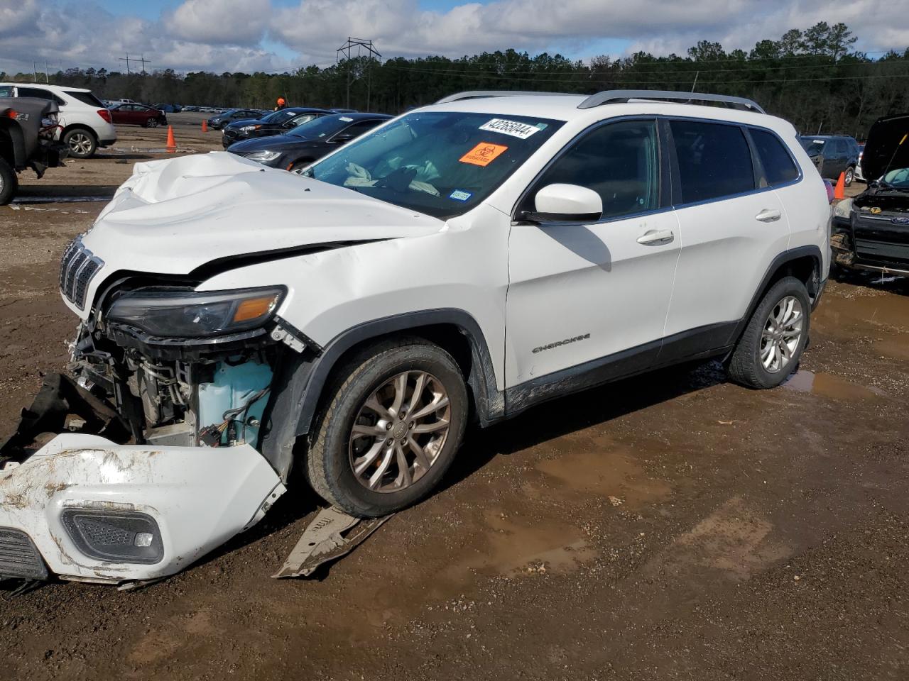 JEEP GRAND CHEROKEE 2019 1c4pjlcb7kd129388