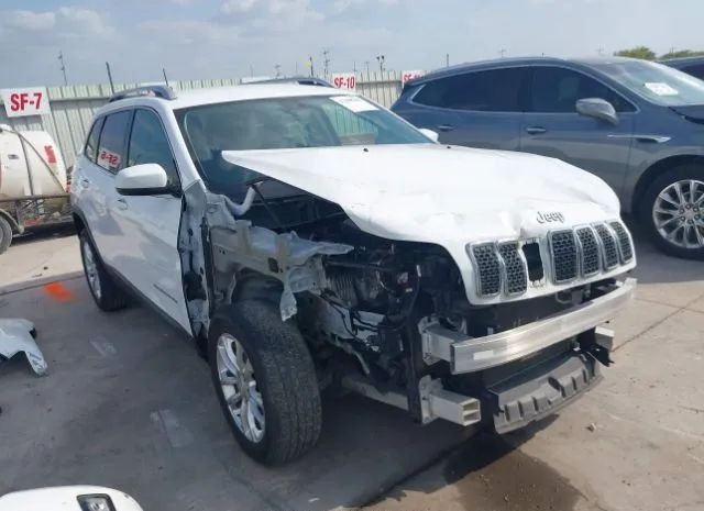 JEEP CHEROKEE 2019 1c4pjlcb7kd203571