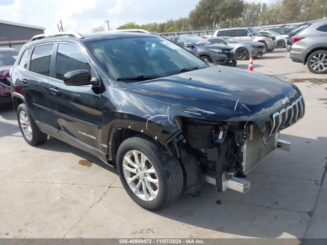 JEEP CHEROKEE 2019 1c4pjlcb7kd357391