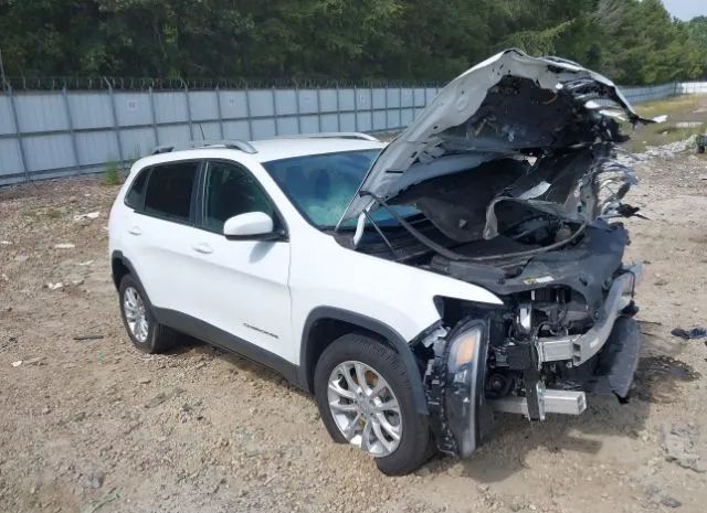 JEEP CHEROKEE 2019 1c4pjlcb7kd392741